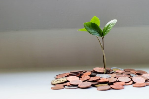 becas para estudios online