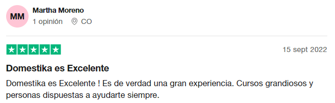precio de curso en domestika y opiniones