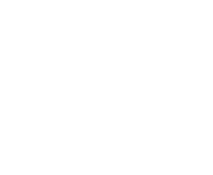 julio alfaro pro plan trading